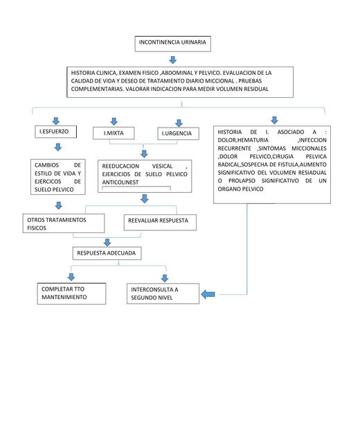 Algoritmo de Incontinencia 