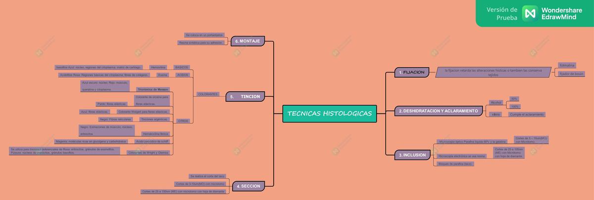 Técnicas Histológicas