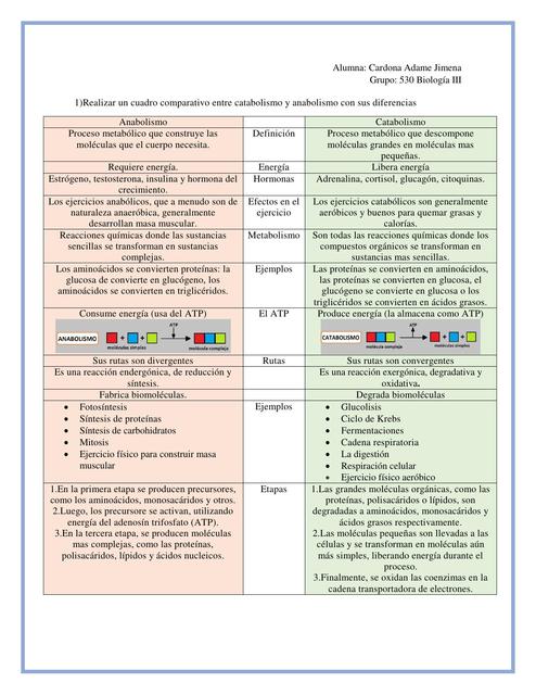 Anabolismo y Catabolsimo