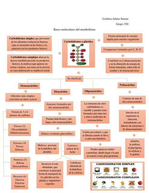 Bases Moleculares del Metabolismo