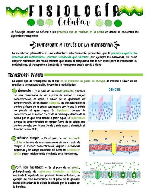 Fisiología Celular