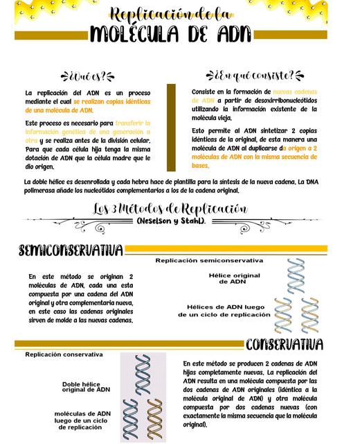 Replicación del ADN