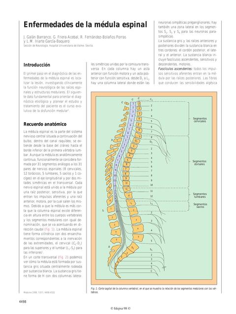 Enfermedades de la Médula Espinal