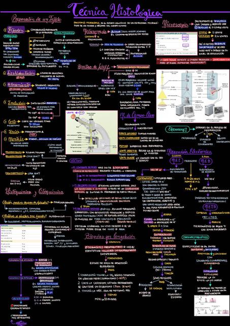 La Técnica Histológica