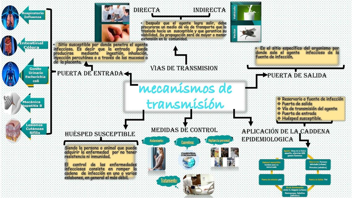 Mecanismos de Transmisión 