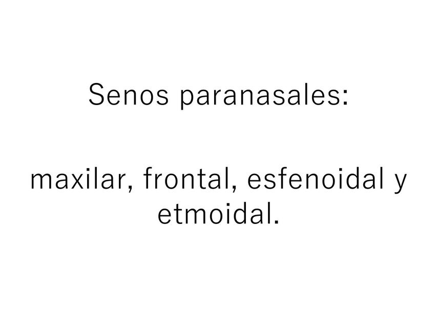 Anatomía Senos Paranasales