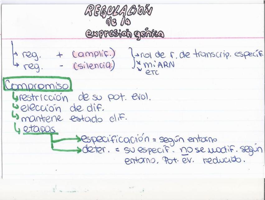 Regulación de la Expresión Génica