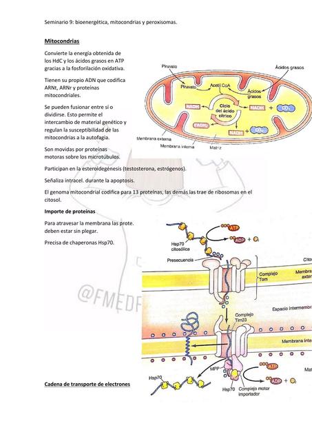 Bioenergía