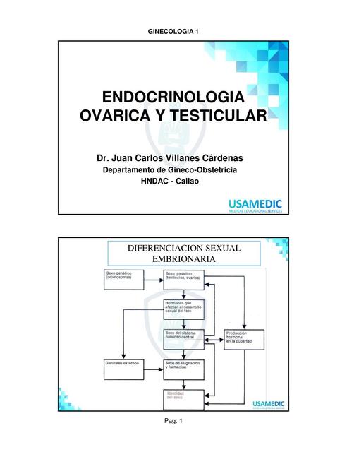 Ginecología USAMEDIC