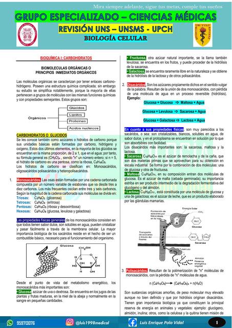 Glúcidos - Biología