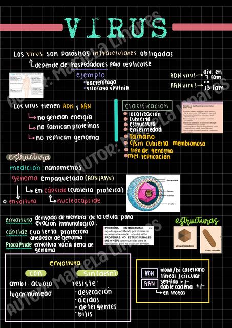 Generalidades de los virus