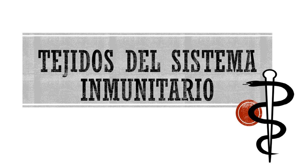 Tejidos del Sistema Inmunitario