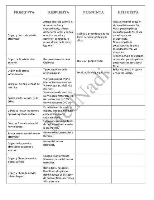 Vascularización del Ojo