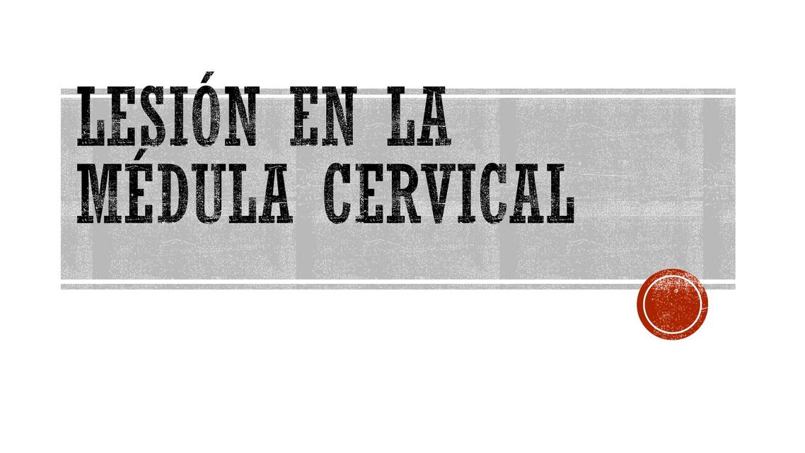 Lesión en la Médula Cervical 