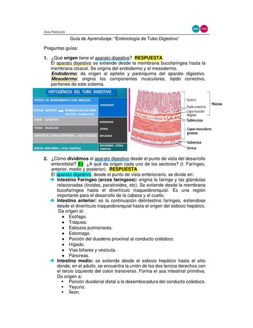 Guía Embriología Aparato Digestivo