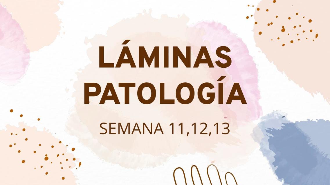 Láminas Patología