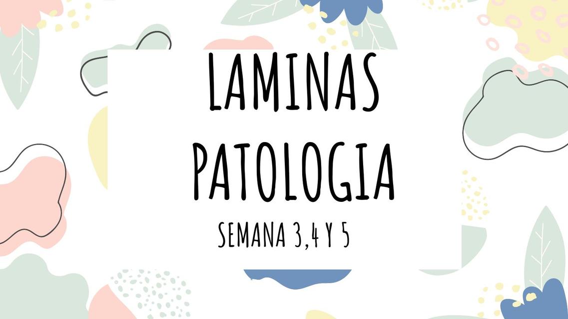 Láminas Patología 