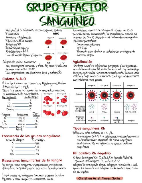 Grupo Y Factor Sanguíneo | Christian Ariel Flores Soria | UDocz