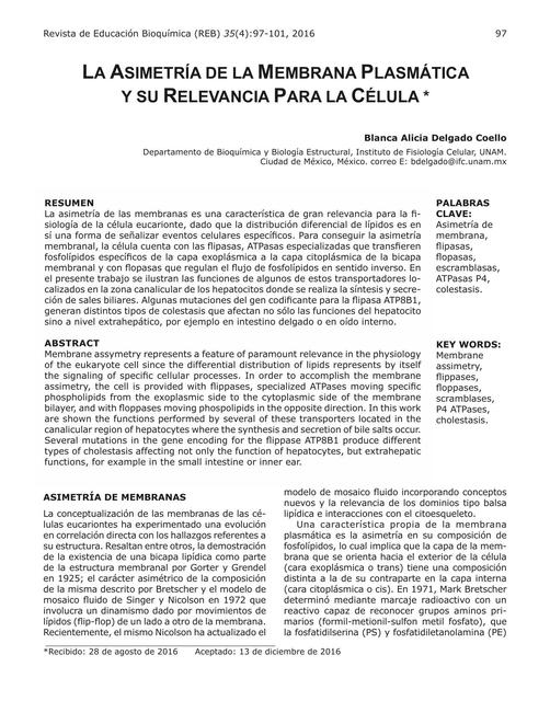 La asimetría de la membrana plasmática