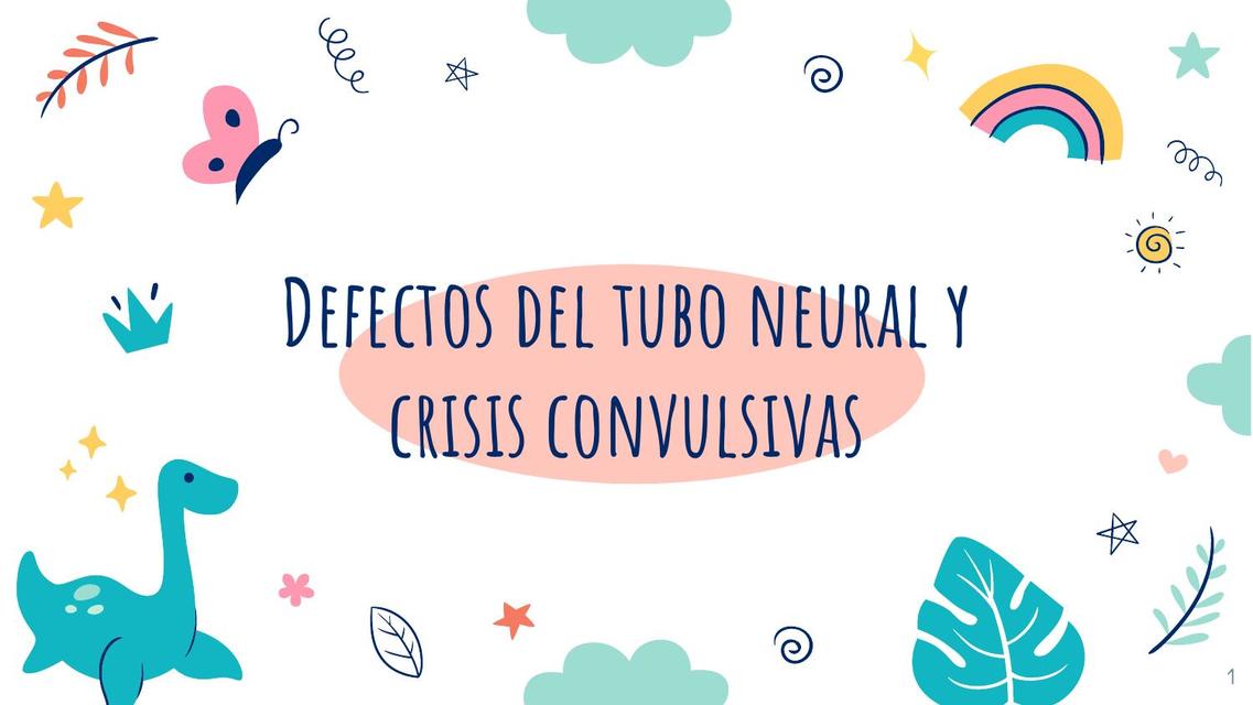 DEFECTOS DEL TUBO NEURAL Y CONVULSIONES