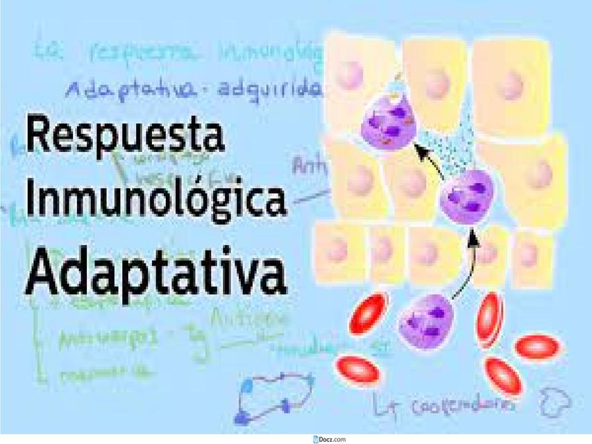 Respuesta Inmunológica Adaptativa