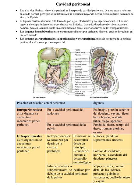 Cavidad Peritoneal 