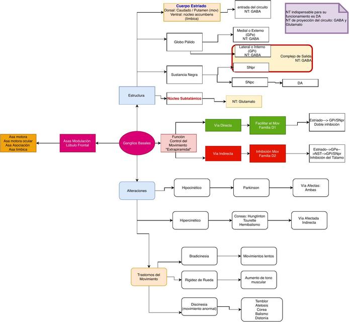 Mapa de ganglios basales 