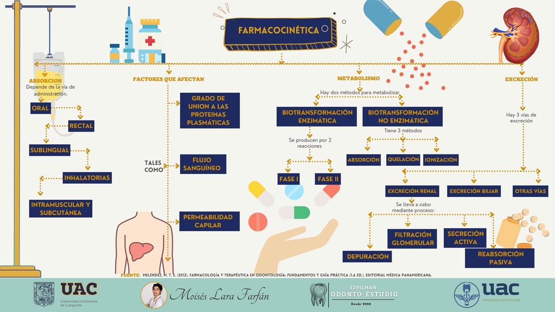 FARMACODINAMIA mapa conceptual | uDocz