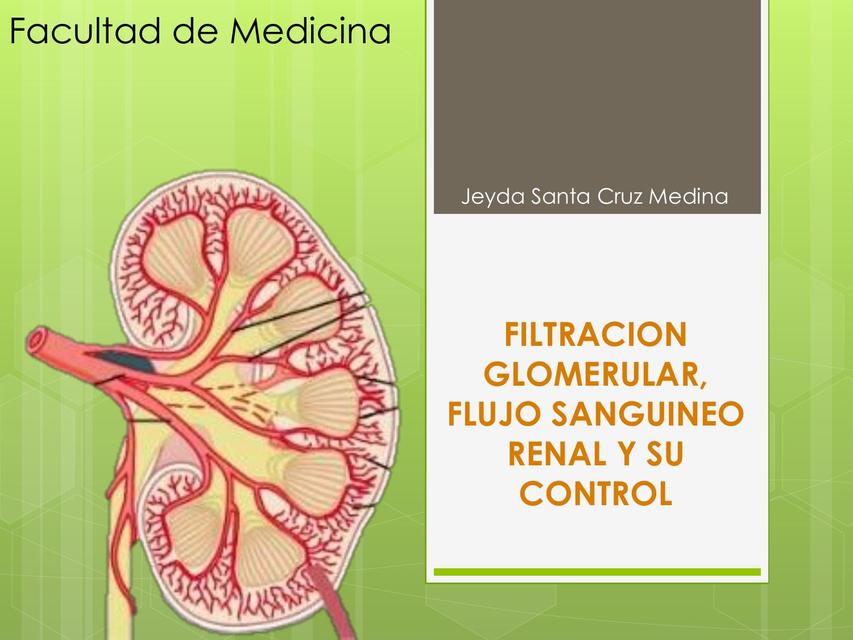 Filtración Glomerular, Flujo Sanguíneo Renal y su Control