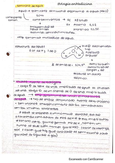 Agua y equilibrio químico 1