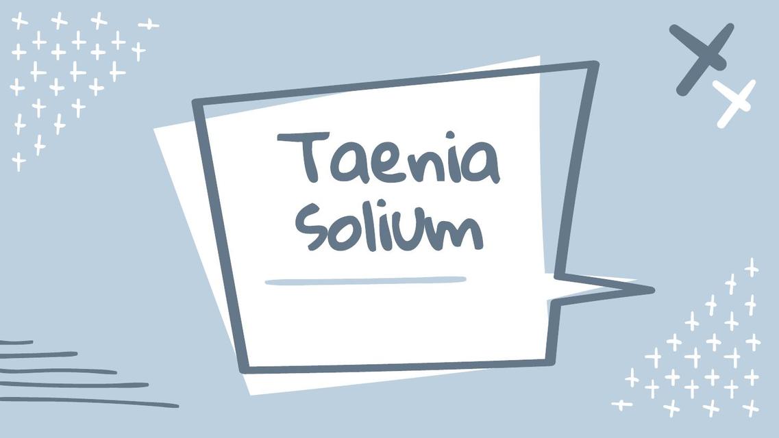 Taenia Solium 