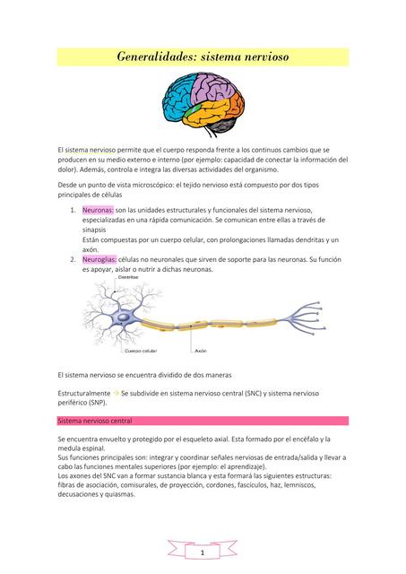 Generalidades de neuroanatomia