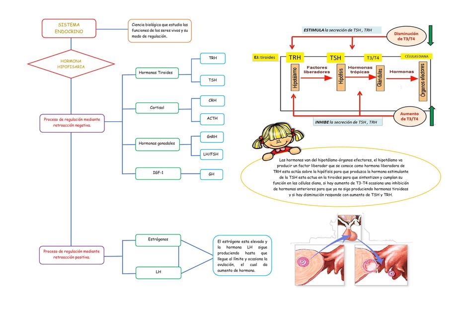 Fisiopatología uDocz