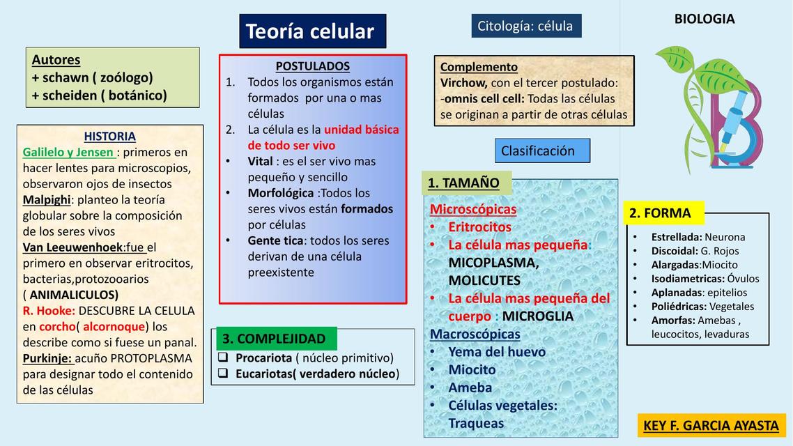 Citología