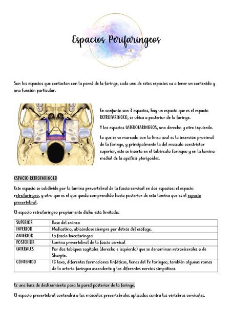 Espacios Perifaringeos