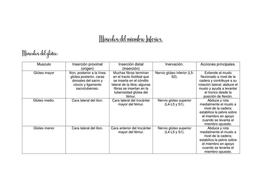 Miología Miembro Inferior