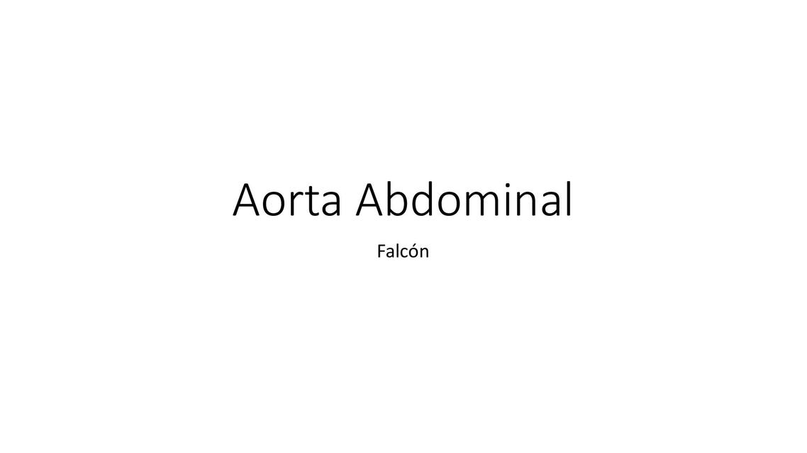 Aorta Abdominal