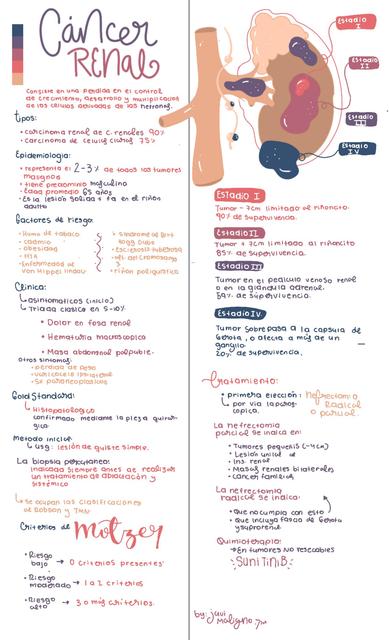 Cáncer Renal