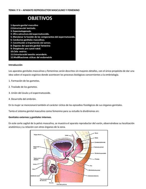 Clase de Embriología