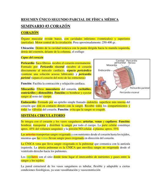 Parcial de Física Médica II