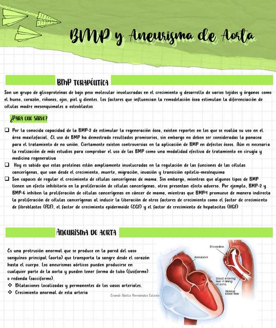 BMP y Aneurisma de Aorta