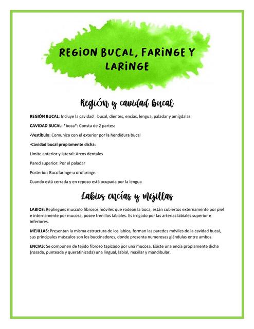 Región Bucal, Faringe y Laringe 