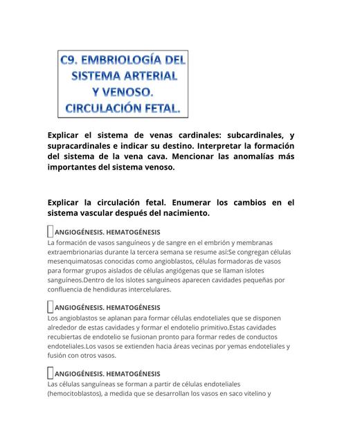 Sistema arterial, venoso y circulación fetal 