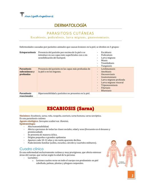 Parasitosis Cutaneas Dermatología