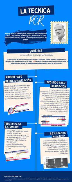 La Técnica PCR