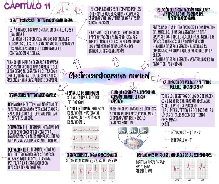 Electrocardiograma Normal