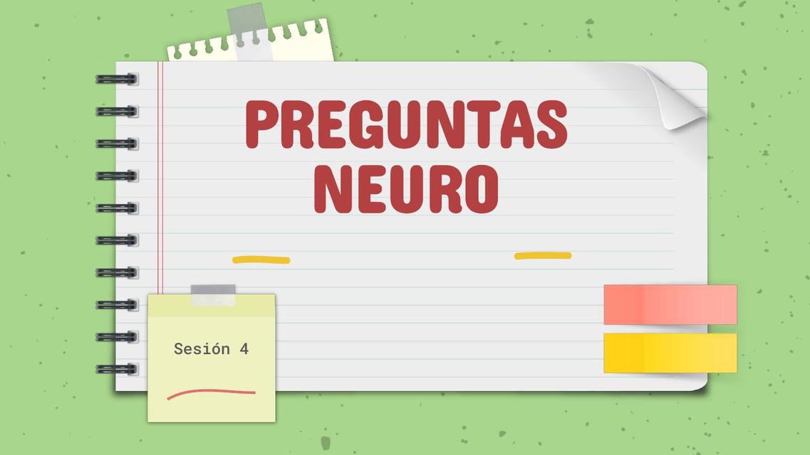 Preguntas Neuroanatomía