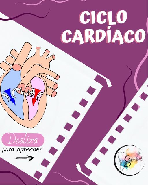 Ciclo Cardíaco