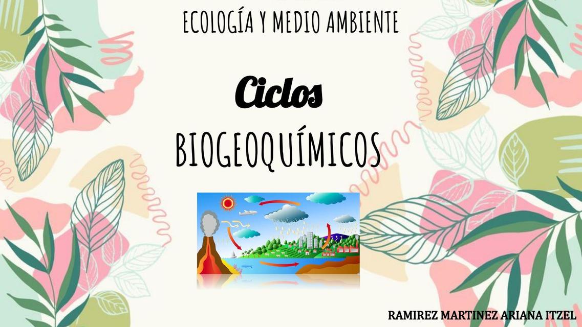 Ciclos Biogeoquímicos