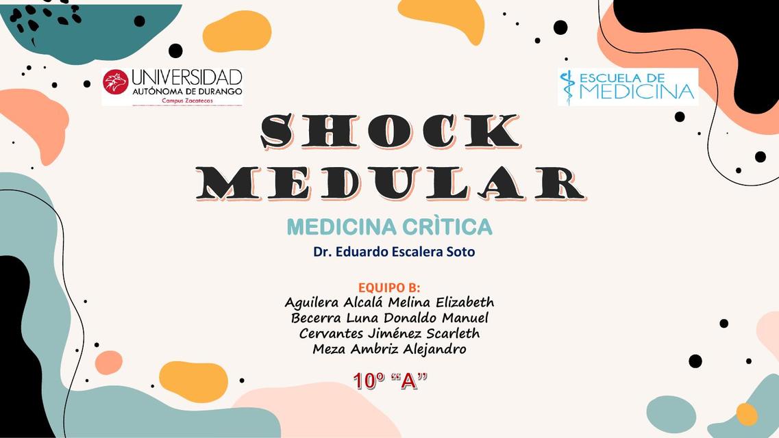 Shock Medular